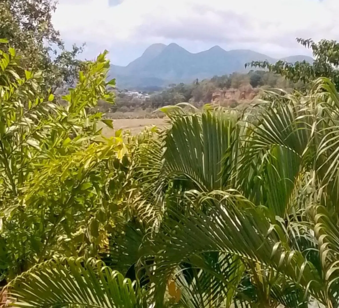 Entre Terre Et Mer Le Lamentin 0*,  Martinique